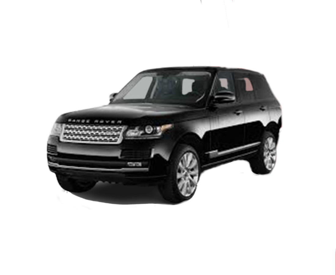 Range Roger Vogue